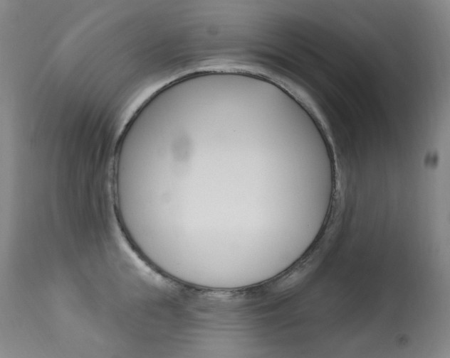 X0000113920855200909241328