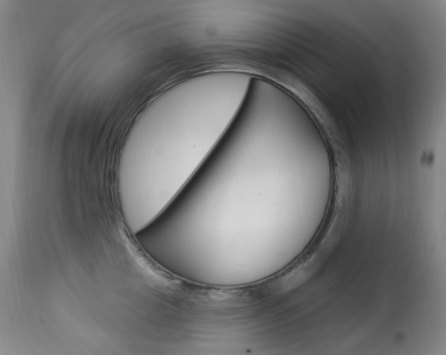 X0000113920857200909241328