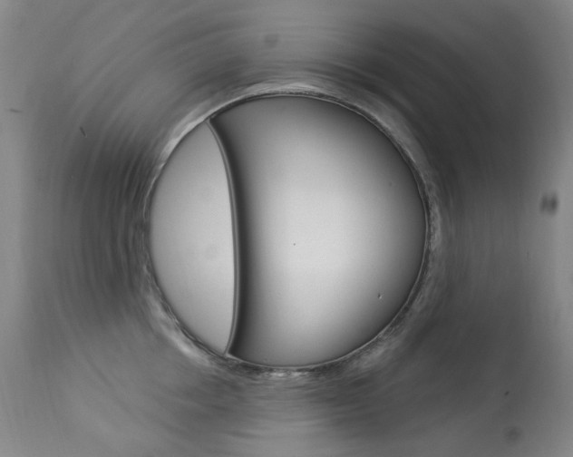 X0000113920858200909241328