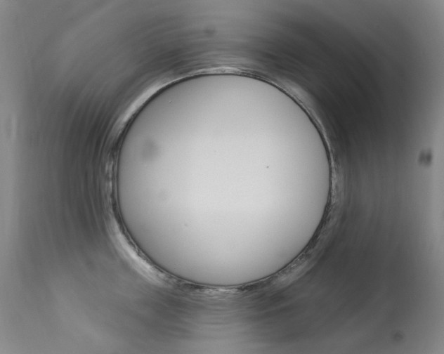 X0000113920859200909241328