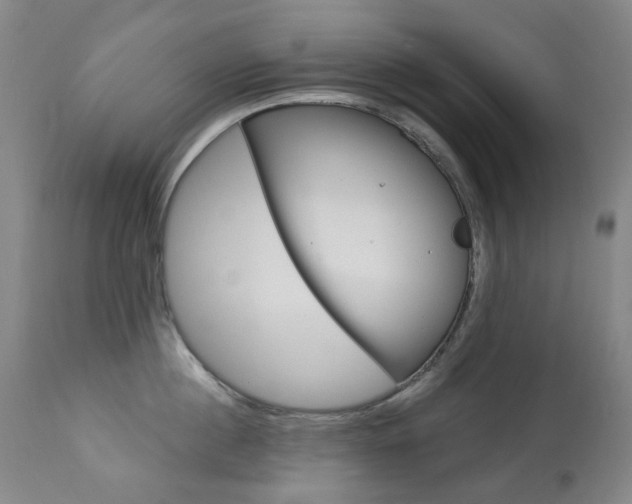 X0000113920860200909241328