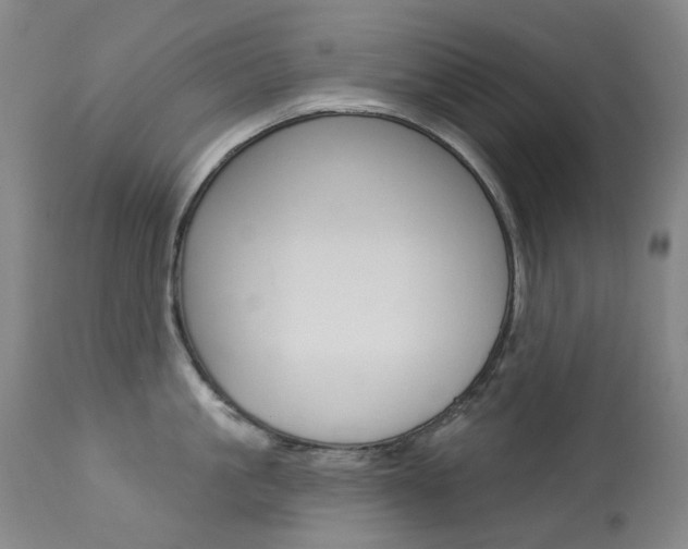 X0000113920861200909241328