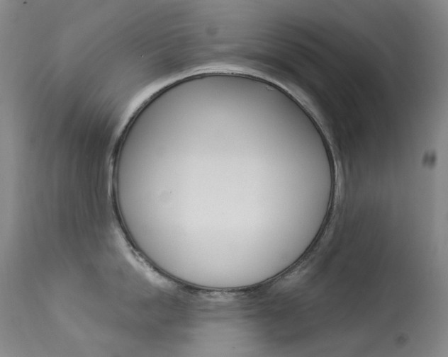 X0000113920862200909241328