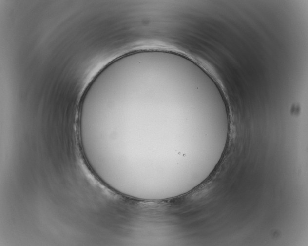 X0000113920863200909241328