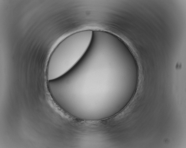 X0000113920864200909241328