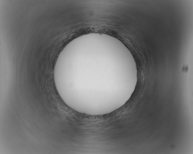 X0000113920865200909241327