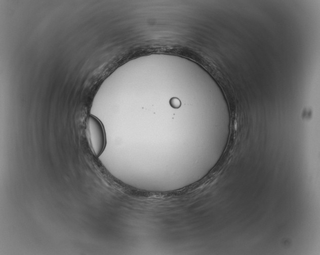 X0000113920867200909241327