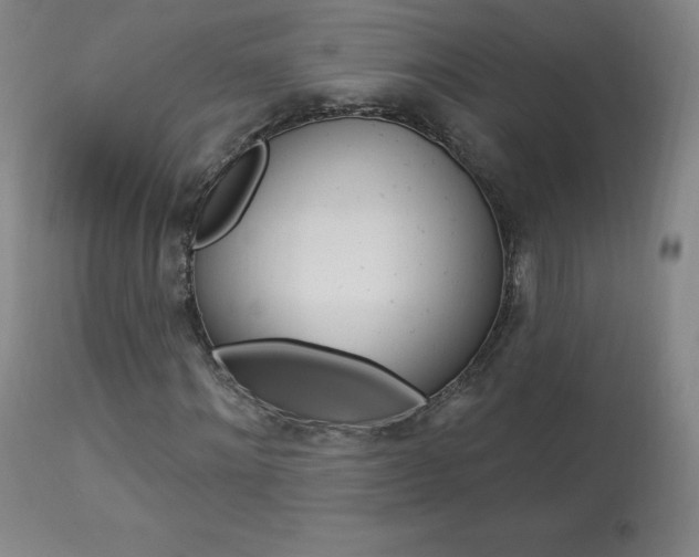 X0000113920868200909241327