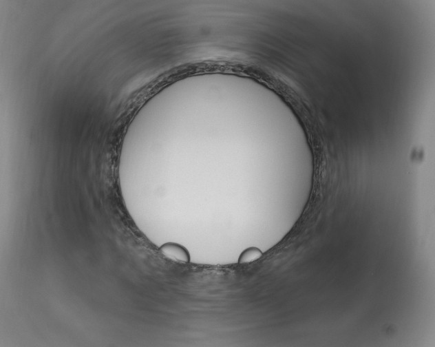 X0000113920869200909241327
