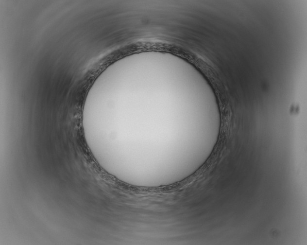 X0000113920870200909241327