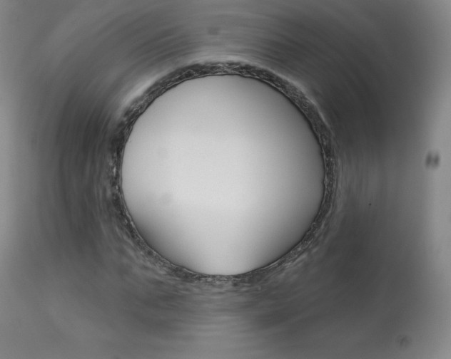 X0000113920871200909241327