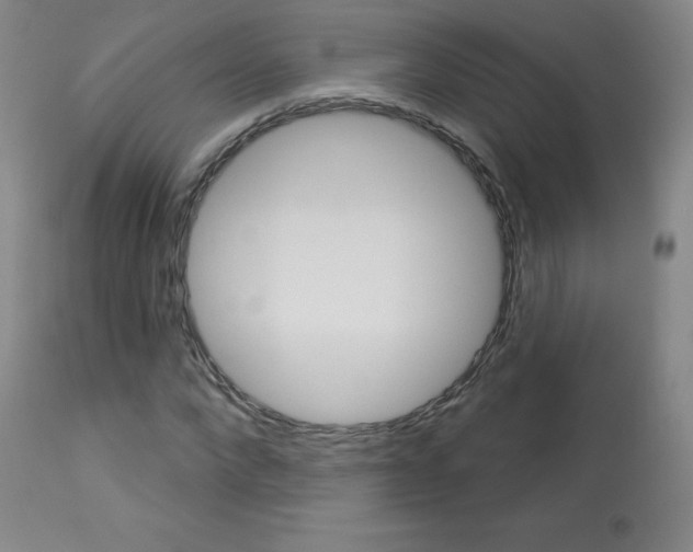 X0000113920872200909241327
