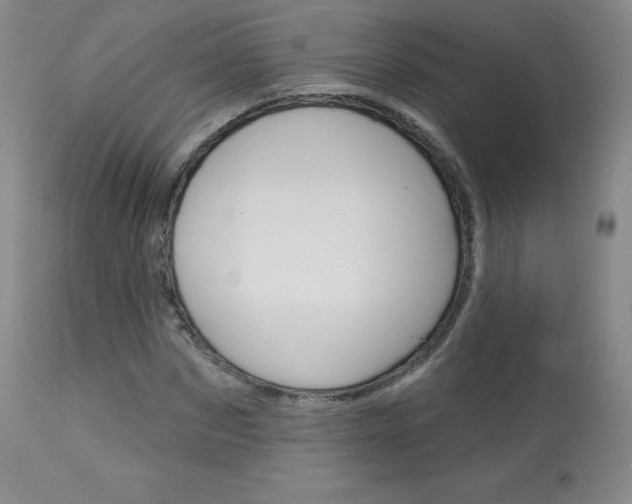 X0000113920873200909241327
