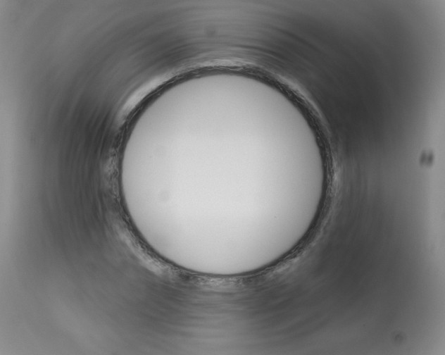 X0000113920874200909241327