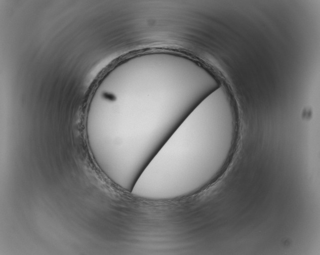 X0000113920875200909241327