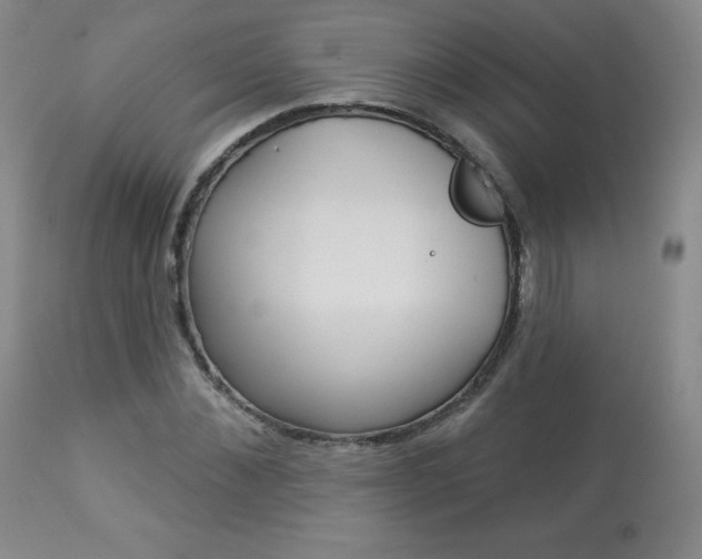 X0000113920876200909241327