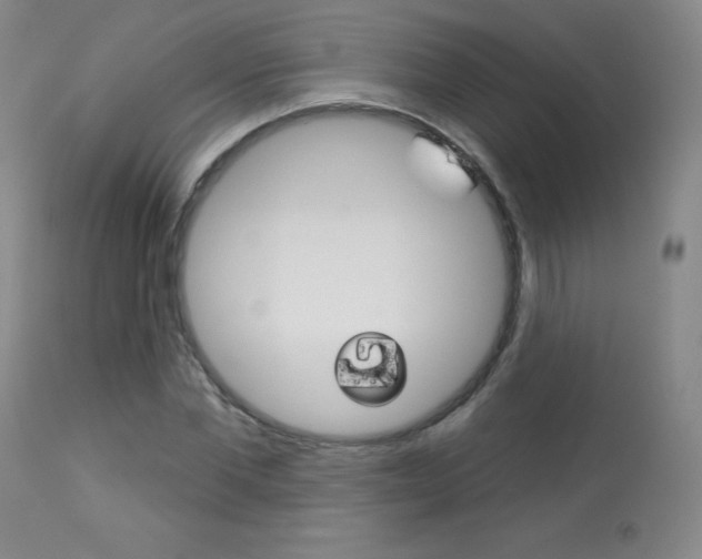 X0000113920877200909241327