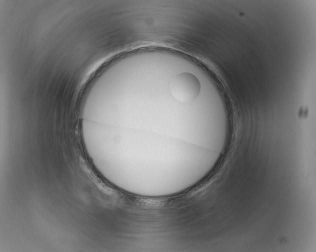 X0000113920878200909241327