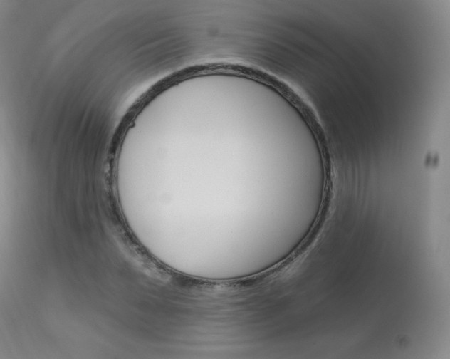 X0000113920879200909241327