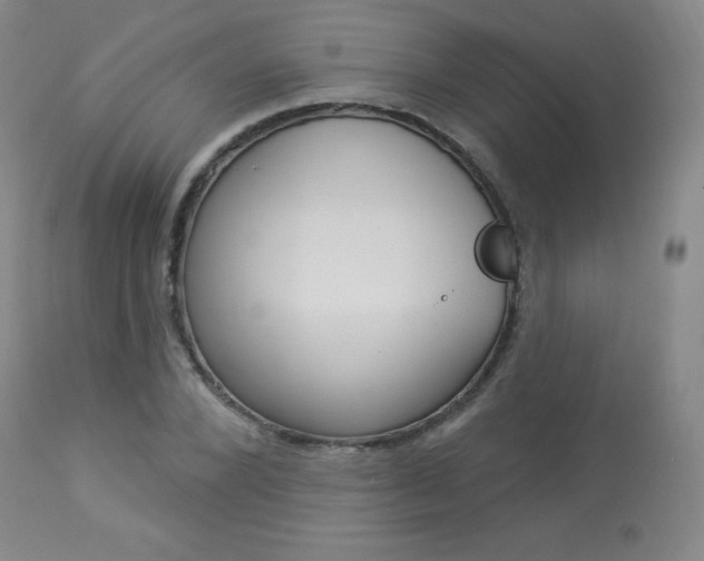 X0000113920880200909241327