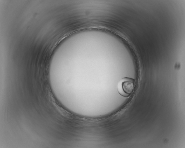 X0000113920881200909241327