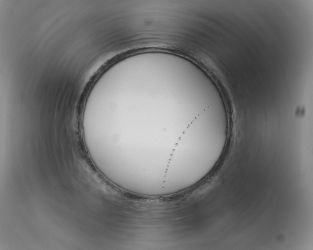 X0000113920883200909241327