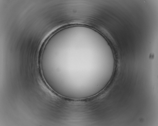X0000113920884200909241327