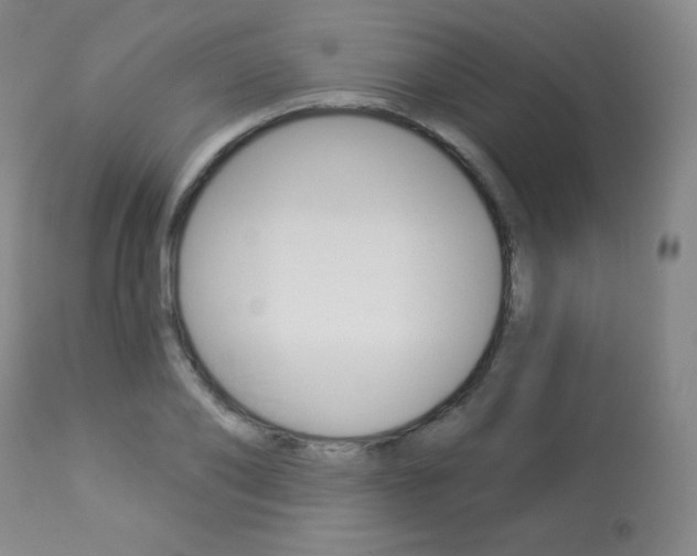 X0000113920886200909241327