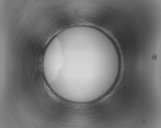 X0000113920889200909241327
