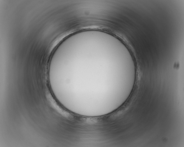 X0000113920890200909241327
