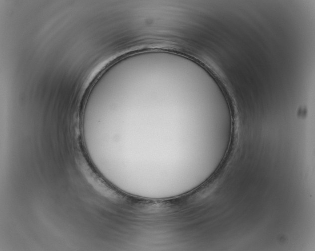 X0000113920891200909241327
