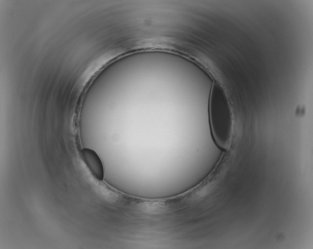 X0000113920893200909241327