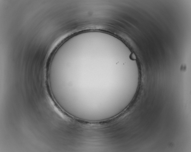 X0000113920894200909241327