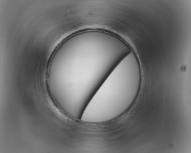 X0000113920895200909241327