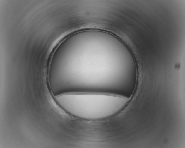 X0000113920896200909241327