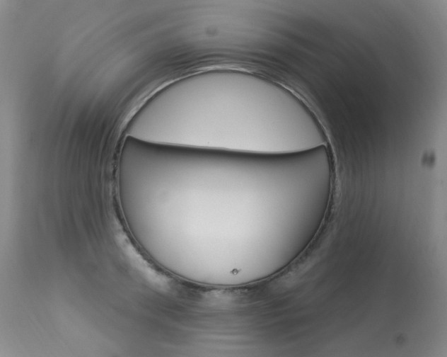 X0000113920898200909241327