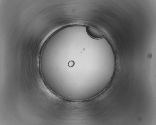 X0000113920900200909241327