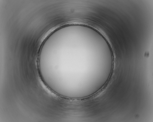 X0000113920901200909241327