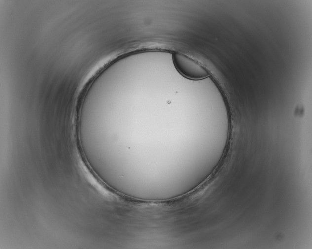 X0000113920902200909241327