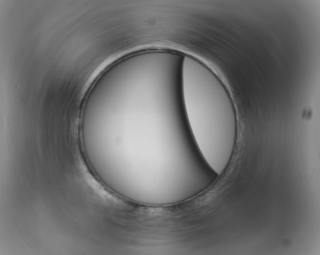 X0000113920903200909241327