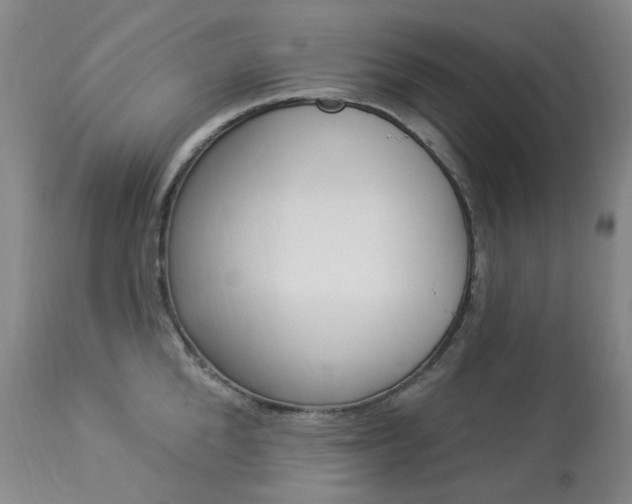 X0000113920904200909241327