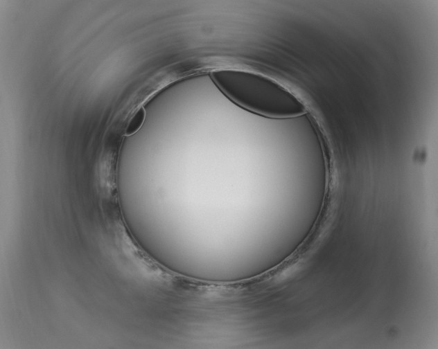 X0000113920905200909241326