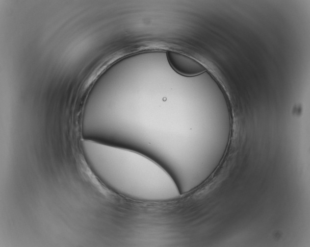 X0000113920906200909241326