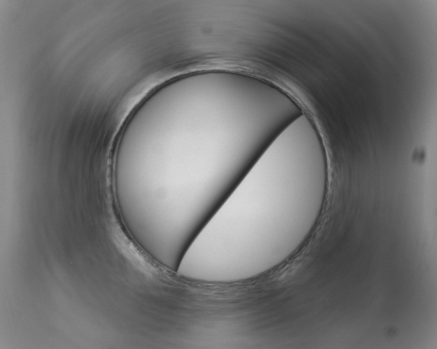 X0000113920907200909241326
