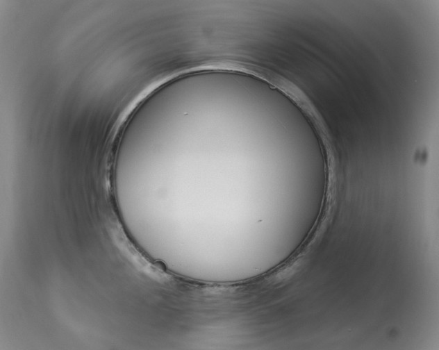 X0000113920908200909241326