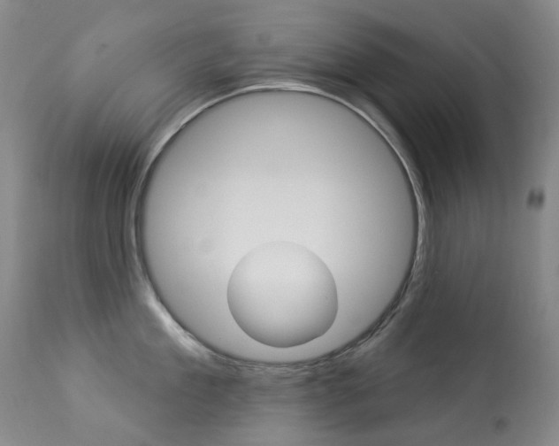 X0000113920909200909241326