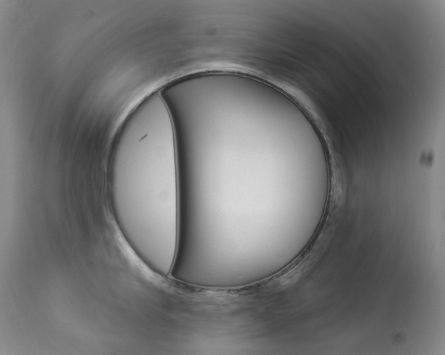 X0000113920910200909241326