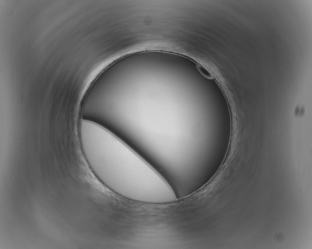 X0000113920912200909241326