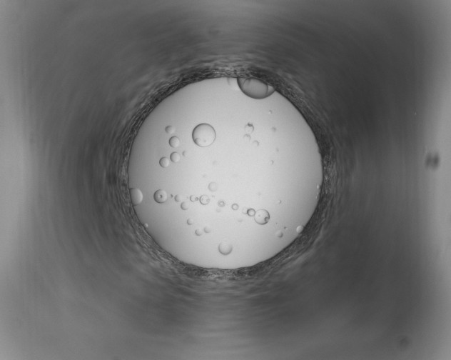 X0000113920913200909241326