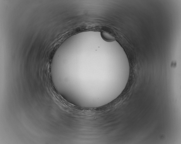 X0000113920914200909241326
